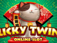 lucky twins slot microgaming