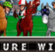 sure win microgaming slot game